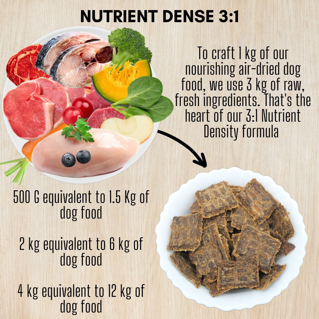 Nutrient dense dog food hotsell